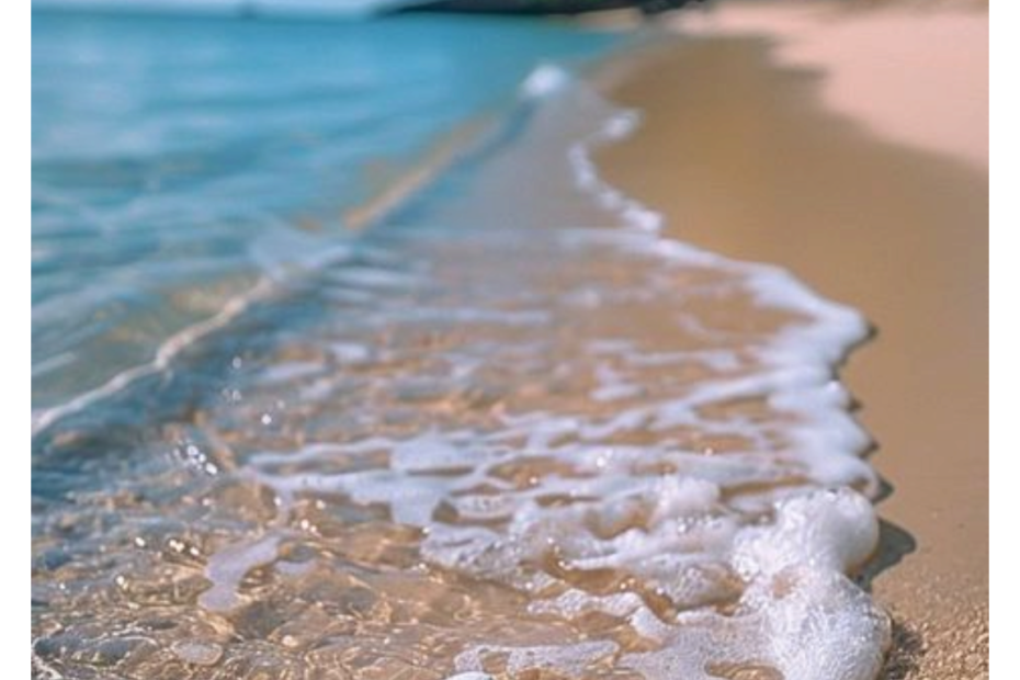 Why South Africa’s Coastline is a Hotspot for Rare Saltwater Fish